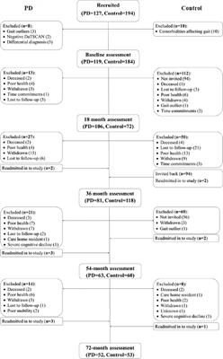 Gait Progression Over 6 Years in Parkinson’s Disease: Effects of Age, Medication, and Pathology